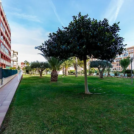 Globus Torremar شقة